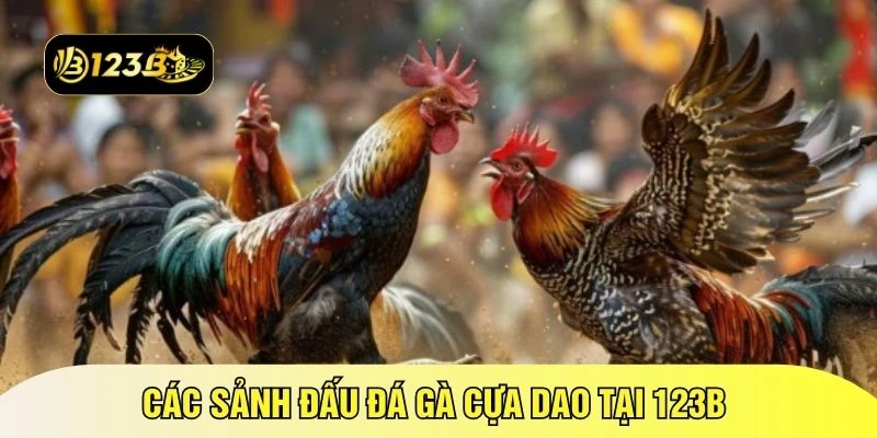 Các sảnh đấu đá gà cựa dao tại 123B 