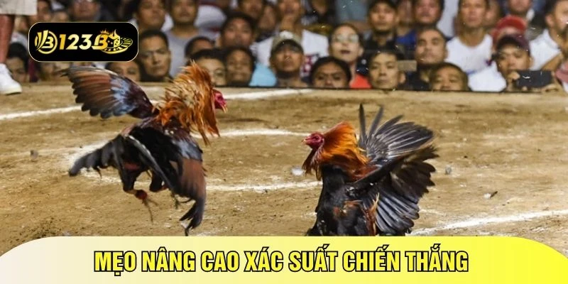 Mẹo nâng cao xác suất chiến thắng 
